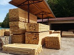 Pilana